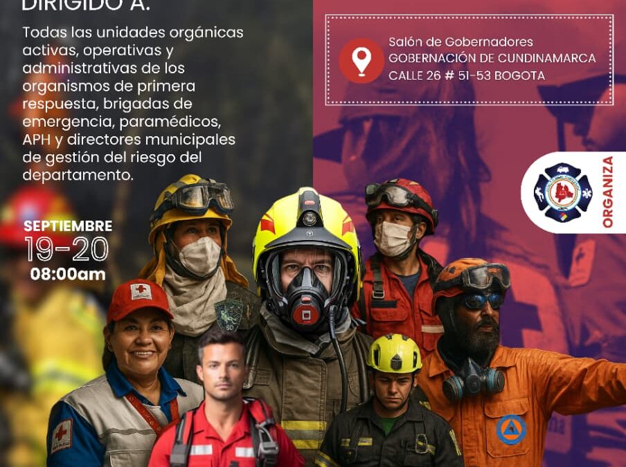 kong marca lider en productos de rescate ahora en colombia